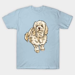 Cream Cavapoo Dog T-Shirt